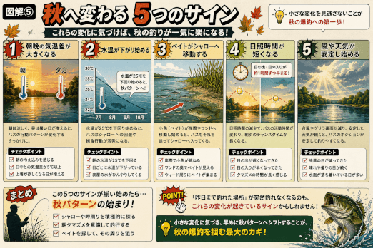 秋へ変わる5つのサインと季節の変化を見抜くポイントを解説した図解