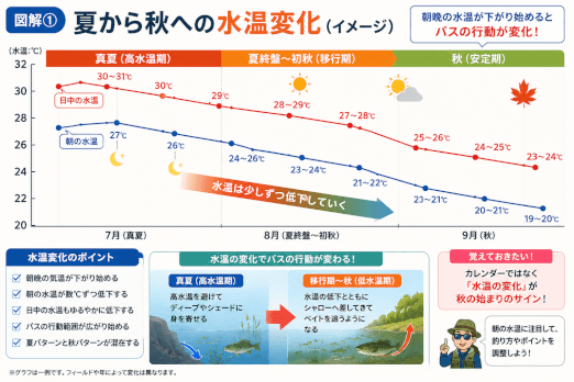 夏から秋へ水温が下がることで変化するバスの行動を解説した図解