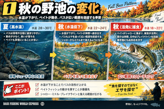 秋の野池の変化を水温低下・ベイトフィッシュ・バスの動きから解説した図解